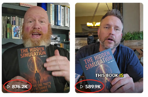 The Hidden Simulation